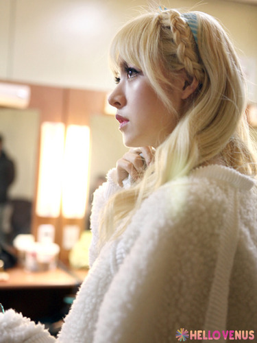 Hello venus ありすの手動Bot ふぉろしてくれたら返しに行きます^^   仲良くしてください♪