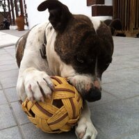 Borja Arjona (@borjarjona) 's Twitter Profile Photo Borja Arjona (@borjarjona) 's Twitter Profile Photo