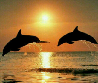 Paket Tour Lumba2x:★Paket Hemat Antar:125Rb ★Paket Lengkap: 300Rb (1Hr); 550Rb (2Hr)  Hub:☎082181154555 / (0721)7344447 |Pin :7edcfa06 / 30d58a69