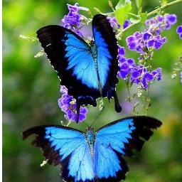 rihamBD's profile picture. Software and Information Systems Engineer