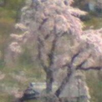 まあさあ (@marstrip664) 's Twitter Profile Photo