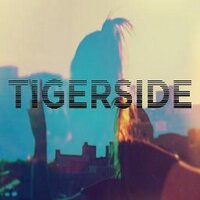 Tigerside(@Tigerside) 's Twitter Profileg