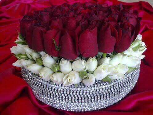 ‏‏‏‏جدة الله يحفظ ذريتي وبارك فيهم يارب ومهتمة بالعلم الشرعي ....الخاص مغلق جدا .