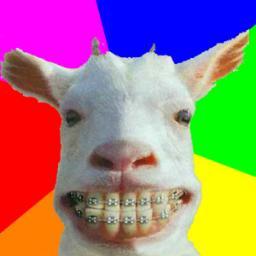 OhFaal's profile picture. 24/7 troll plaatjes in je TL!