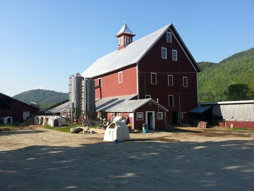 Farm vacation on a working dairy farm. Open year round and welcoming reservations for solo-travelers, families and groups.