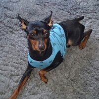 チャッピー (@date_5963) 's Twitter Profile