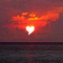 Marie Ferrell - @MarieFerrell15 - Twitter