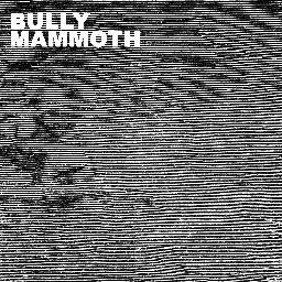 Noise-Rock from Portland, ME