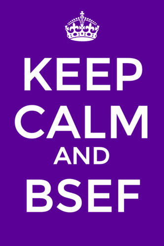 BSEF85's profile picture. Official acount of 85 '12-13