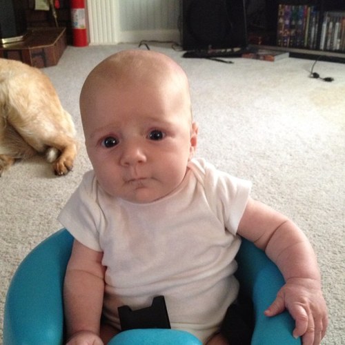 JStew1984's profile picture. 