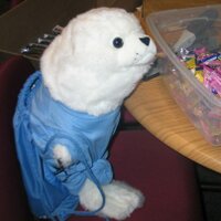 CabriniU SEaL (@cabriniseal) 's Twitter Profile