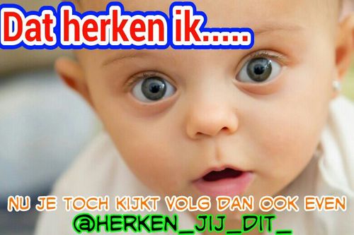 Officiele Beheerder : @Alec3x  /Followback!/Herken jij iets?¿ Retweet de herkenbare tweet dan!
