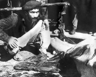 O şarabi eşkıyalar. Onlar da olmasalar benim gayrı kimim var ...