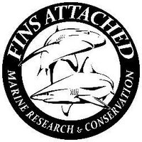 Fins Attached (@finsattached) 's Twitter Profile Photo Fins Attached (@finsattached) 's Twitter Profile Photo