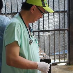 assistant director Bureau of Conservation and Research, zoo veterinarian. The Zoological Park Organization of Thailand