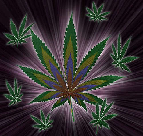 omarmaya80's profile picture. 