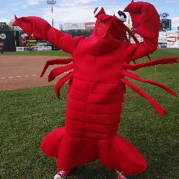 The fastest lobster in the sea and on land
