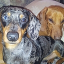 Jennifer Devoe - @jengwend - Twitter