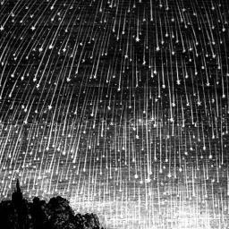 dilsneyland's profile picture. 