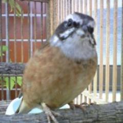 toritori625's profile picture. 昭和生まれの読み専です。好きな方たちのフォロー専用にさせていただいております。無言フォローすみません。