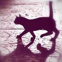 Antonio Guillen - @antonioeguillen - Twitter