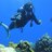 fran_marchi's profile image
