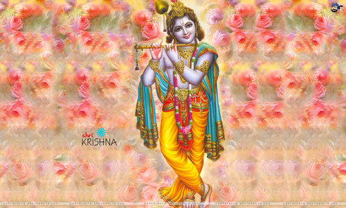 blissfulkrishna's profile picture. 