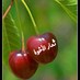 ثمار الأخوة (@whjsama) Twitter profile photo ثمار الأخوة (@whjsama) Twitter profile photo