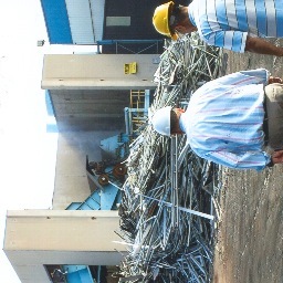 General_Trade's profile picture. Export & Import