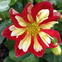 Donna Paschal - @Paschal3Donna - Twitter