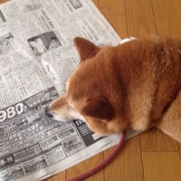 assie (@assie05) 's Twitter Profile Photo assie (@assie05) 's Twitter Profile Photo