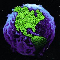 Microbiology World (@microbioworld) Twitter profile photo