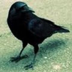 errepuntoerre Profile Picture