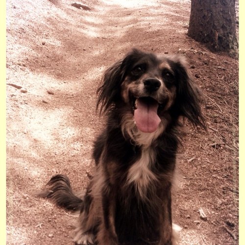 Shelly96672969's profile picture. 