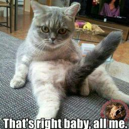 Ohchite's profile picture. I like to shoot things to kill them, in IRL and in the Virtual World. Dey b all like OH SHIT BRO! when they see me