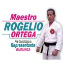 rogelio ortega - @2014Maestro - Twitter