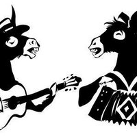 The Troubador Mules (@troubadormules) 's Twitter Profile