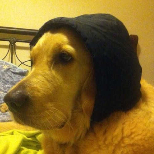 acar_s's profile picture. 