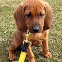 Ruby Sue Watson - @RubySueWatson - Twitter