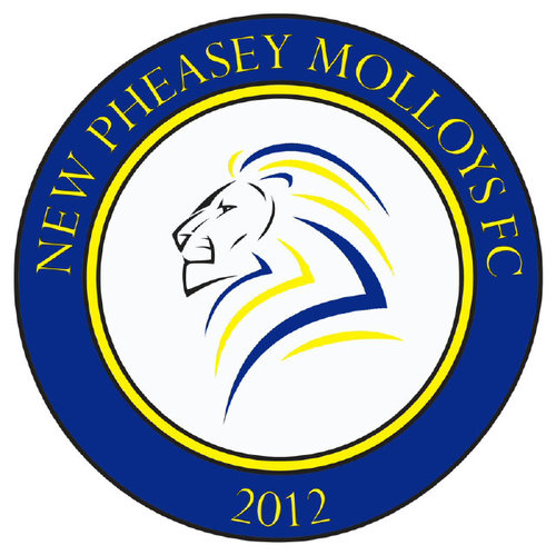 Official Twitter Page for NPFC. Est. 2012. Compete in the Sutton & District Sunday League, Division 3. #npfc #playuppheasey