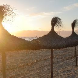 javierdemiguel3's profile picture. mallorquineando versus riojeando