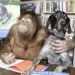 wakkattakk's profile picture. Philanthropist, Soothsayer, fan of stuff