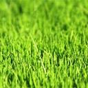 Rose Dickens - @RoseDickens2 - Twitter