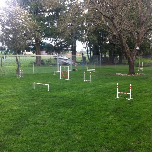 sandy_down's profile picture. Welcome to Chilliwack Small Dog Kennel! We provide accommodations & holistic healing for small dogs under 35 pounds. By appointment only-call 1-604-768-8584