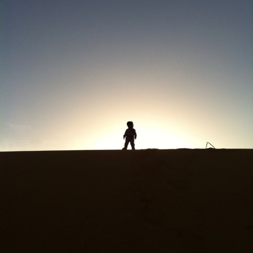 alshammri_majed's profile picture. 