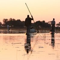 Okavango Delta(@DeltaOkavango) 's Twitter Profile Photo