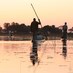 Okavango Delta (@deltaokavango) Twitter profile photo Okavango Delta (@deltaokavango) Twitter profile photo