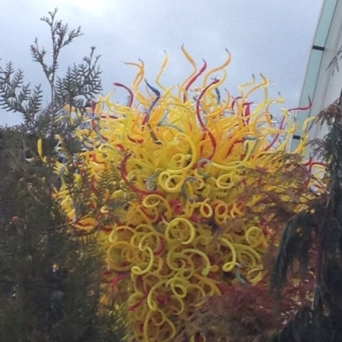 aschaffer's profile picture. 