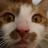 SirVerkaeufer's profile image