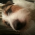 slommy (@slommy79) Twitter profile photo